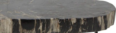 PETRIFIED WOOD
