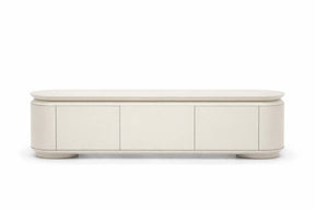 Ziggy Entertainment Unit