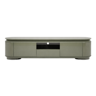 Ziggy Entertainment Unit
